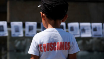 Cartelera de Ambulante tendrá función para familiares de desaparecidos: Paulina Suárez | Entérate