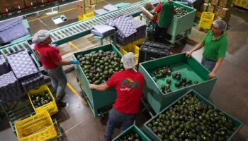 Informalidad laboral incrementó en tercer trimestre de 2023