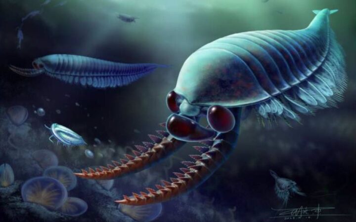 Ancestro de crustáceos con tres ojos ayuda a entender la evolución