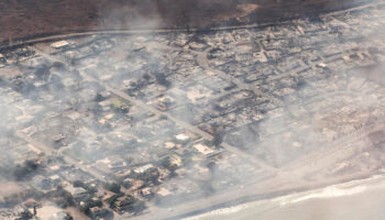 Incendios forestales en Hawái: El desastre natural más mortífero en la isla