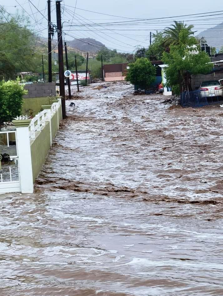 Huracán Hilary Hombre Muere Al Cruzar Arroyo En Mulegé Baja California Sur Aristegui Noticias 