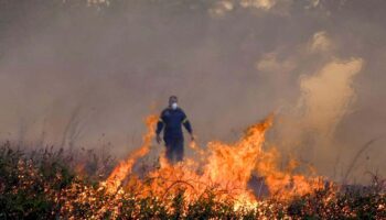 Grecia: Bomberos combaten incendios avivados por vientos