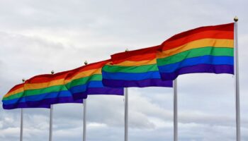 EU: Veteranos LGBTIQ+ demandan al Pentágono por despidos discriminatorios