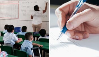 Estas son las mejores plumas para el regreso a clases, según Profeco