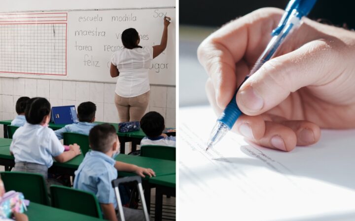 Estas son las mejores plumas para el regreso a clases, según Profeco