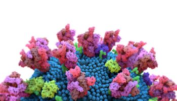 Investigadores identifican nueva clase de antivirales frente a la Covid-19