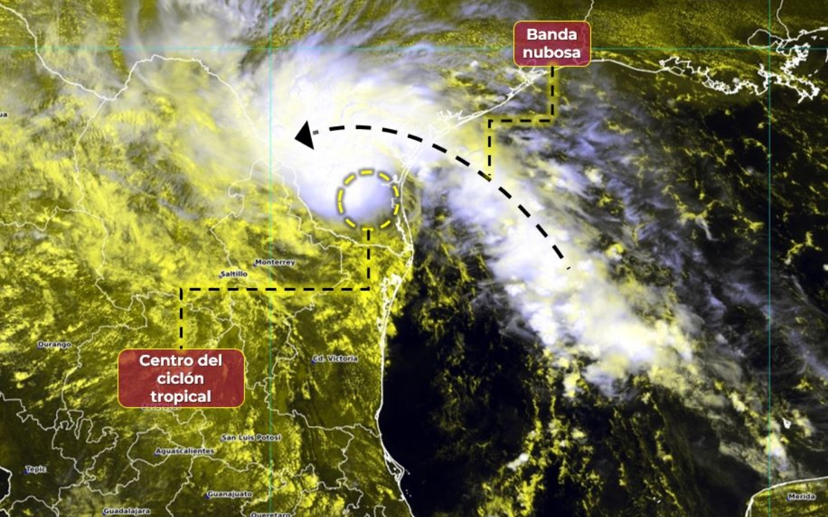 Storm Harold makes landfall in Texas;  Rains will affect northern Mexico