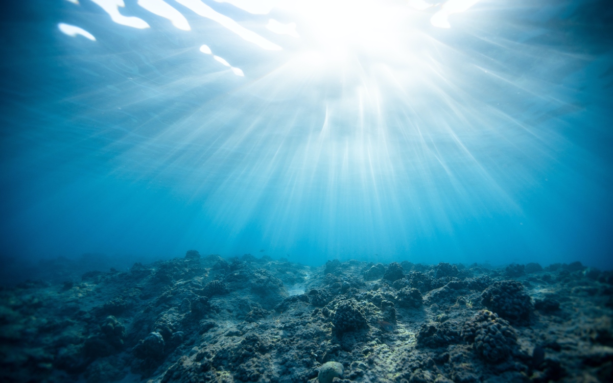 More than 67 countries sign an international treaty to protect the oceans at the UN