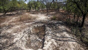 NL: Fiscalía inicia búsqueda de desaparecidos en predio de Escobedo
