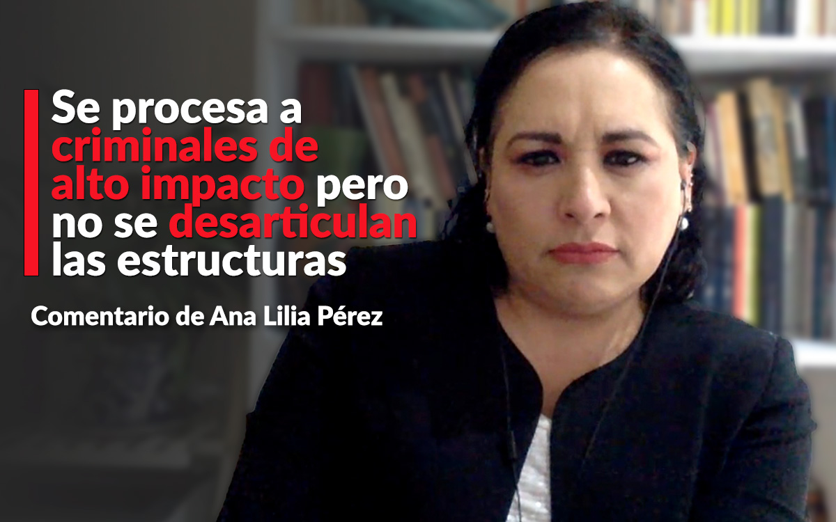 ‘Se procesa a criminales de alto impacto pero no se desarticulan las estructuras’: Ana Lilia Pérez ‘Se procesa a criminales de alto impacto pero no se desarticulan las estructuras’: Ana Lilia Pérez
