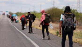 Mirador Político: Migrantes y elecciones | Artículo