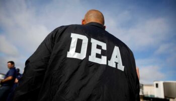 Senador de EU asegura que mataron a 'cooperadores' de la DEA en caso contra 'Los Chapitos': Reforma