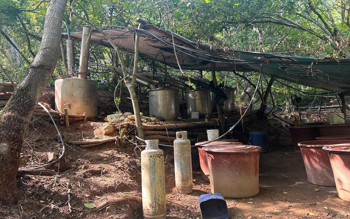 Asegura SEDENA laboratorio clandestino en Rosamorada, Nayarit