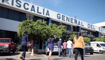 Morelos: Exigen justicia por Baileys, perro que murió tras golpiza