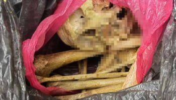 Encuentran huesos humanos en bodega de jurisdicción sanitaria de Nayarit