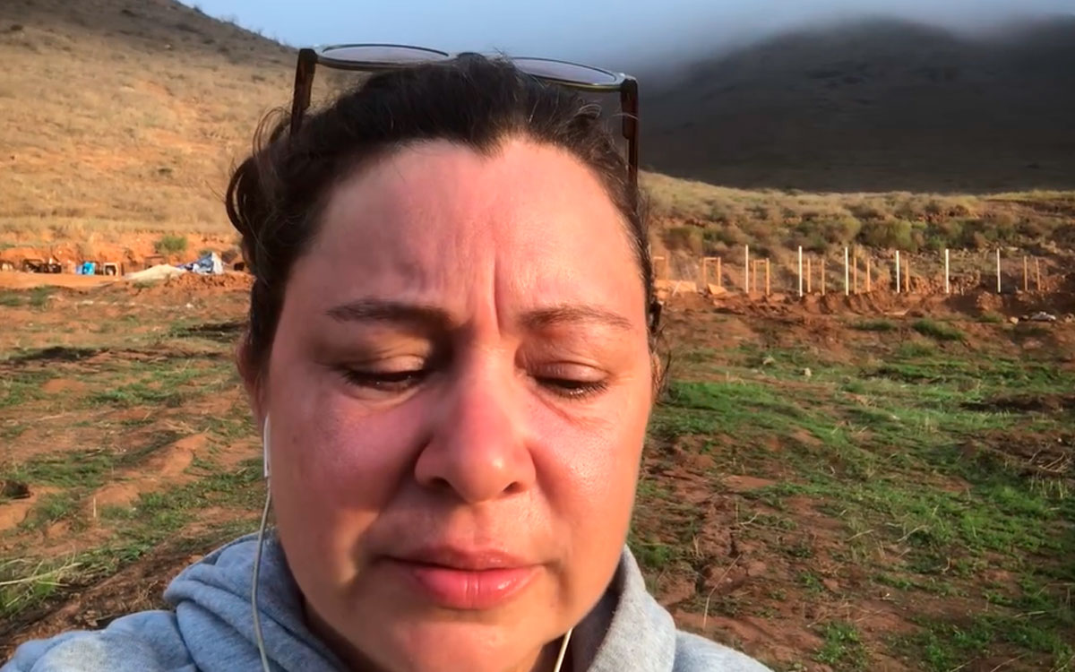 Maquinaria aplasta y mata a animales al destruir albergue en BC Maquinaria aplasta y mata a animales al destruir albergue en BC