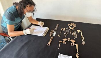 Descubren once entierros humanos, mil piezas y un petrograbado en el centro de México