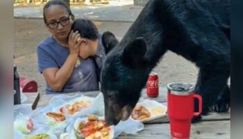 Oso sorprende a familia en Chipinque y devora su comida | Video