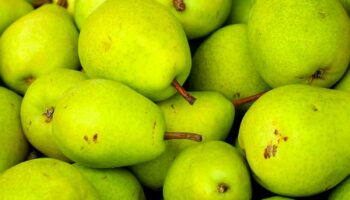 ¿Cuáles son los beneficios de comer pera diario?