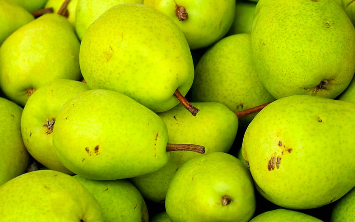 What are the benefits of eating pears every day?