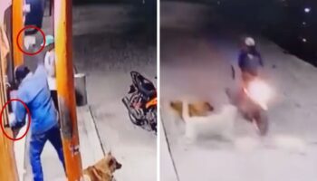 Hombre golpea con tabique a perro porque ladró a su moto | Video