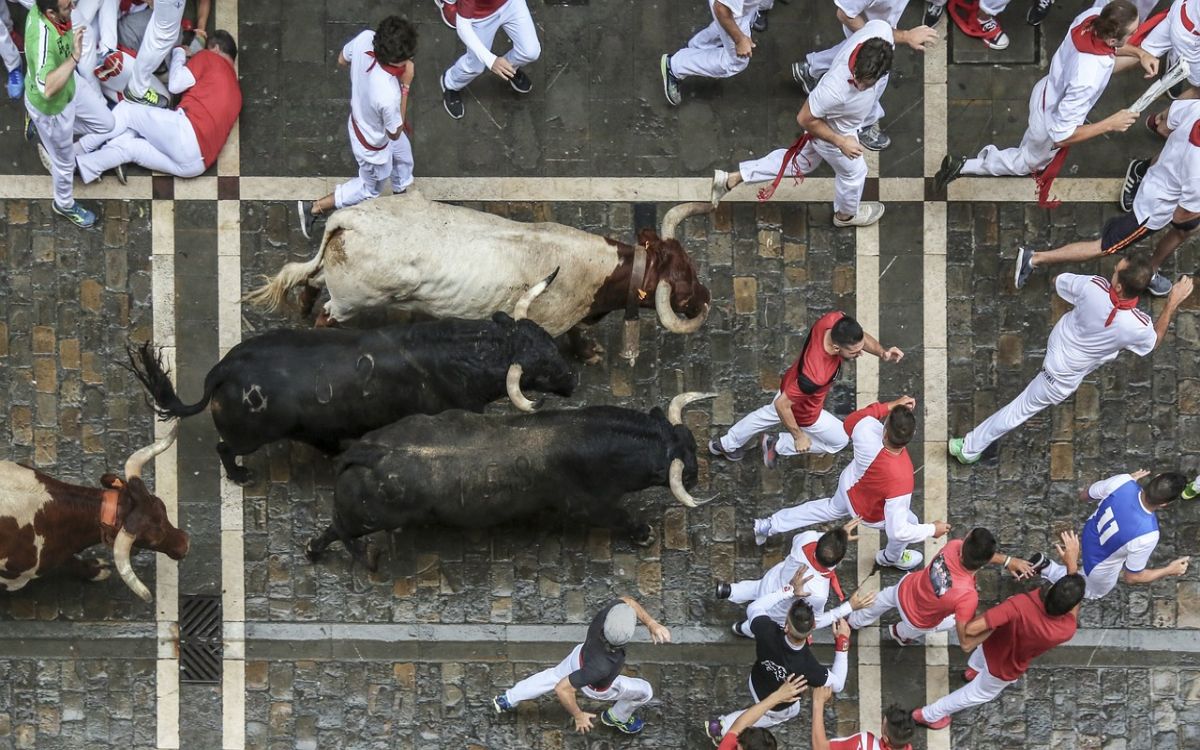 Muere hombre tras ser corneado por un toro en fiesta española | Aristegui  Noticias