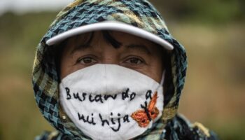 Video | Madres buscadoras hallan más de 40 cuerpos en fosa de Tacámbaro, Michoacán