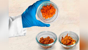 Profeco informa sobre 16 productos de cochinita pibil, chilorio y chicharrón con exceso de sal