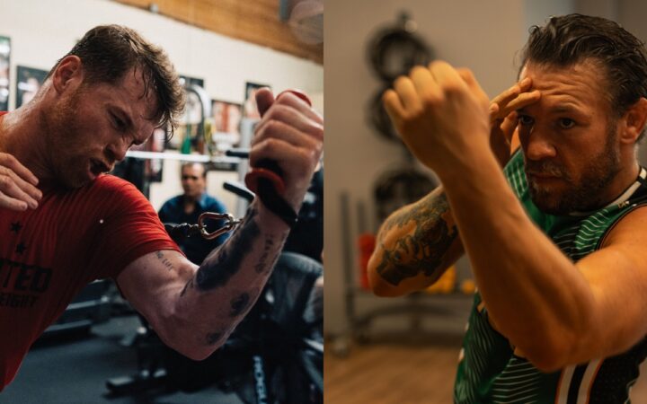 ¿Hay tiro? 'Canelo' arremete contra Conor McGregor: 'Solo necesito una mano contigo'