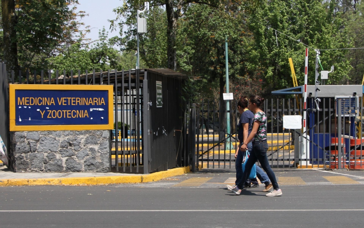 Facultad de Veterinaria de UNAM suspende clases por chinches