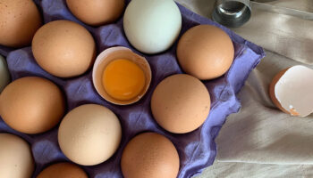 ¿Cuáles son los beneficios de comer huevo?