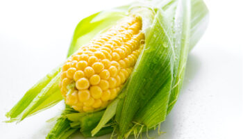 Al aceptar daños por maíz transgénico, agroindustria generó prueba plena: Julia Álvarez | Entérate
