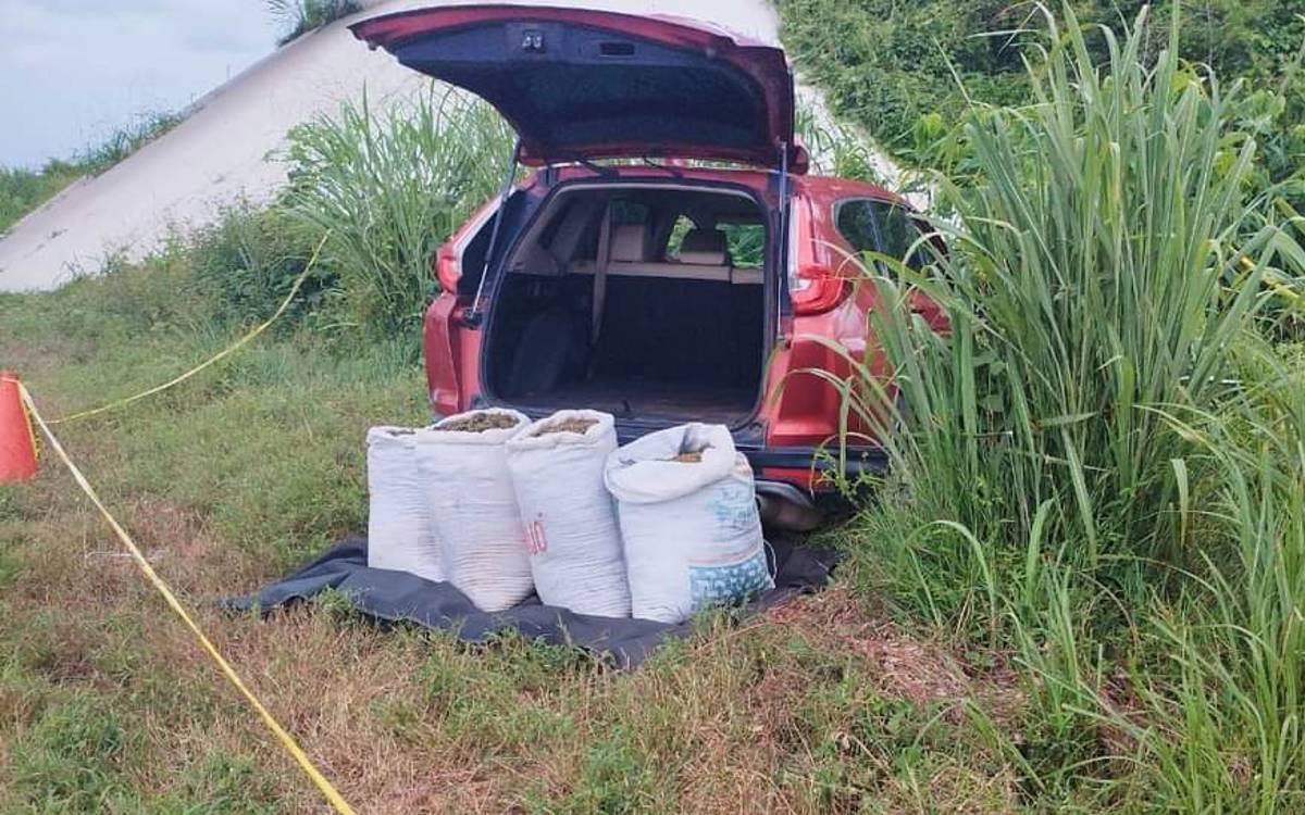 En Nayarit: recuperan camioneta robada con 55 kilos de marihuana