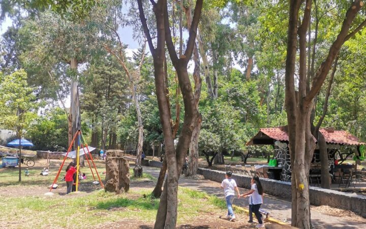 Asesino serial de perros ataca otra vez en Bosque de Nativitas, pese a mayor vigilancia