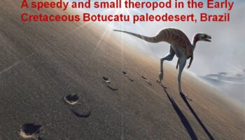 Científicos identifican una nueva especie de dinosaurio en Brasil