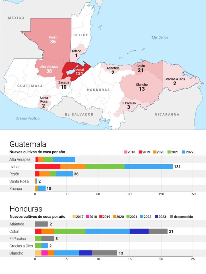 Distribución de las plantaciones de coca detectadas por las autoridades en Centroamérica desde 2017. Mapa: Edin Pašović/OCCRP