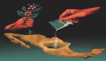 NarcoFiles | Adiós café, hola hoja de coca en México