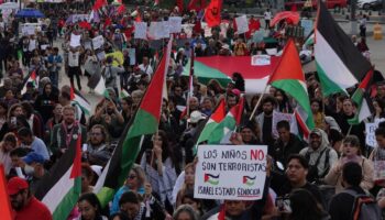 Palestina agradece solicitud de México a la CPI para investigar crímenes