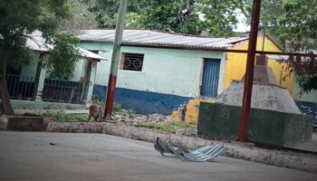 Atacan escuela con drones explosivos en Guerrero