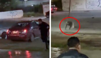 NL: Atropellamiento masivo en boda; mueren mujer y bebé | Advertencia: Imágenes fuertes
