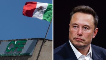 CFE da contratos a Starlink, empresa de Musk, por 3,331 mdp