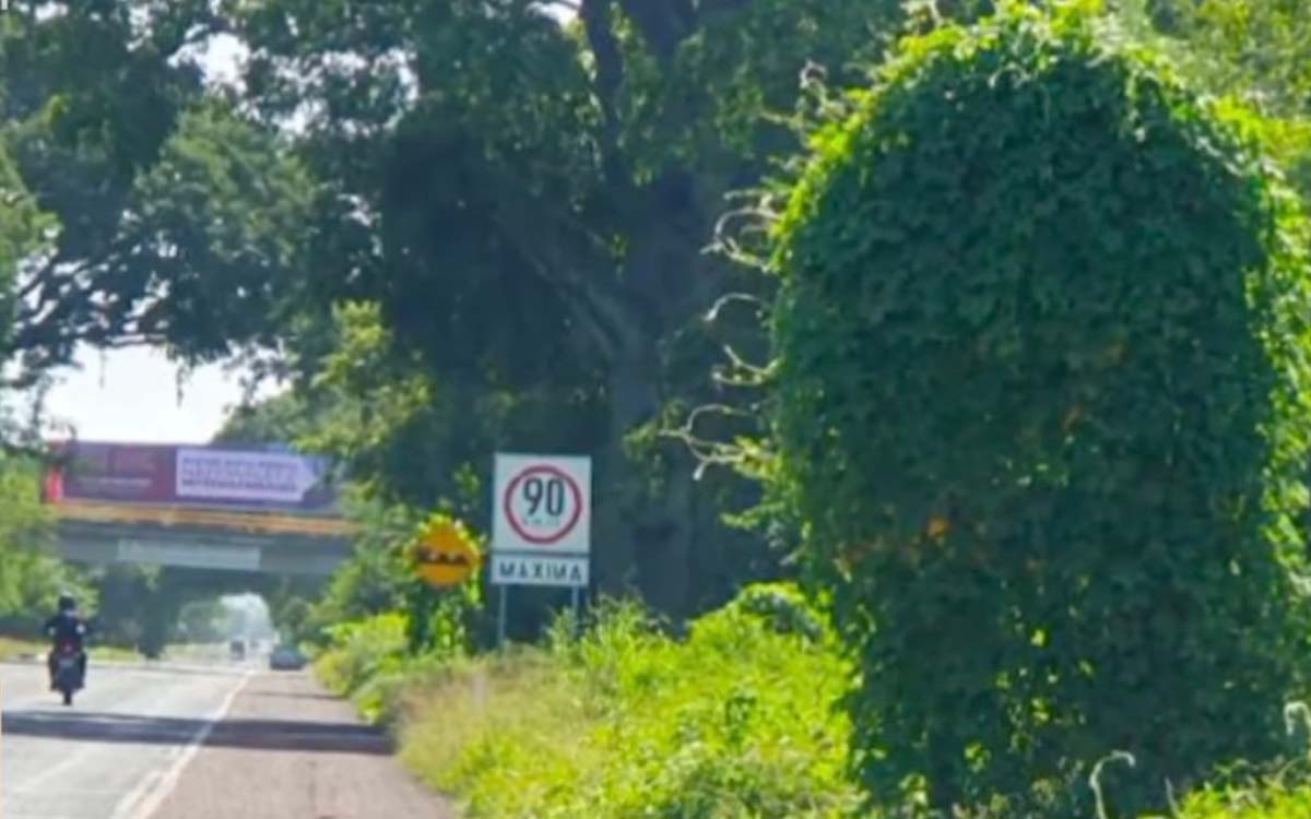 ¿Cómo afectará a las afores que Guerrero recuperara la concesión del Viaducto La Venta-Punta Diamante? Esto dice Fibra Orión | Video ¿Cómo afectará a las afores que Guerrero recuperara la concesión del Viaducto La Venta-Punta Diamante? Esto dice Fibra Orión | Video
