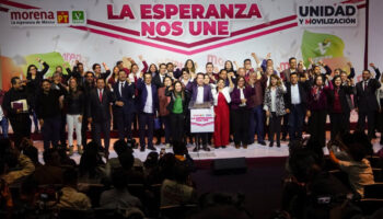 Conoce las nueve virtuales candidaturas de Morena | Perfiles