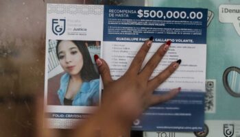 Familia de Pamela Gallardo denuncia a funcionarios capitalinos por 'entorpecer' búsqueda