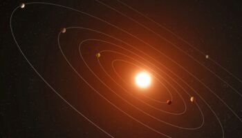 Astrónomos descubren siete planetas 