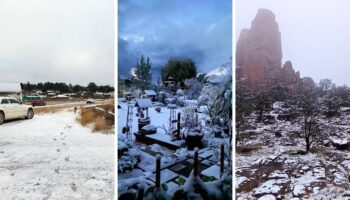 Tormenta invernal deja nevadas y bellas postales en varios puntos de México | Fotos
