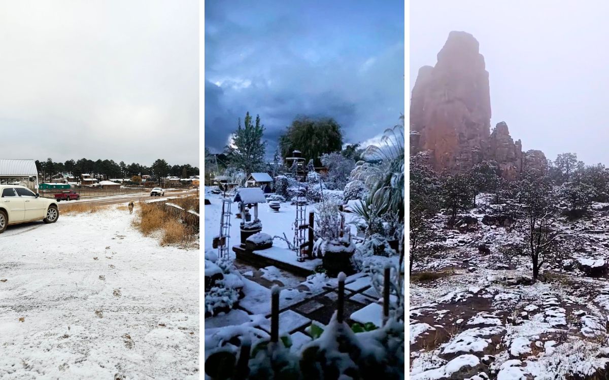 Tormenta invernal deja nevadas y bellas postales en varios puntos de México | Fotos