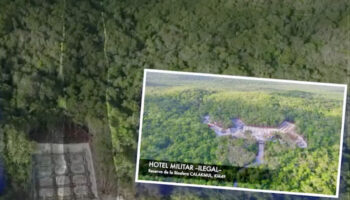 La Sedena arrasó la selva para construir 6 hoteles del Tren Maya