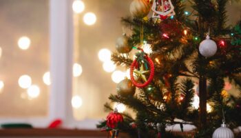 ¿Qué es el Síndrome del Árbol de Navidad?