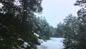 Blanco y frío diciembre en Edomex; nevada deja bellos paisajes
